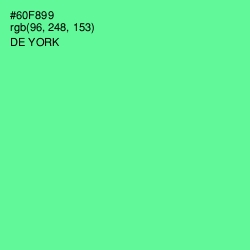 #60F899 - De York Color Image