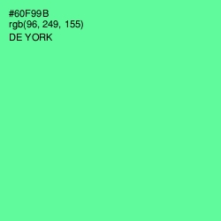 #60F99B - De York Color Image