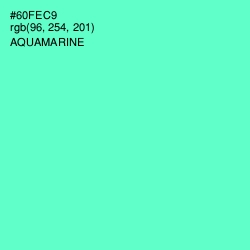 #60FEC9 - Aquamarine Color Image