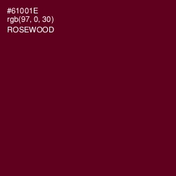 #61001E - Rosewood Color Image