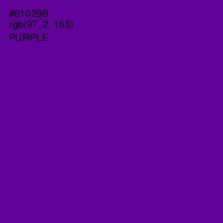 #61029B - Purple Color Image