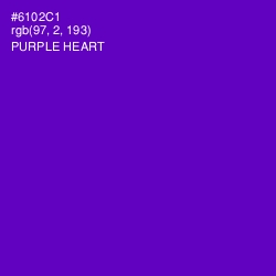 #6102C1 - Purple Heart Color Image