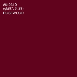 #61031D - Rosewood Color Image