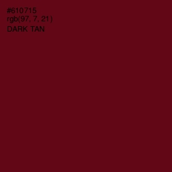 #610715 - Dark Tan Color Image