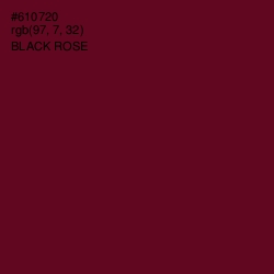 #610720 - Black Rose Color Image