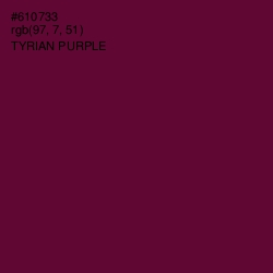 #610733 - Tyrian Purple Color Image