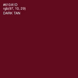 #610A1D - Dark Tan Color Image