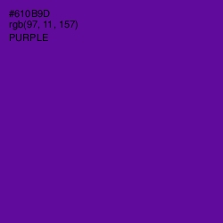#610B9D - Purple Color Image