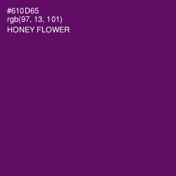 #610D65 - Honey Flower Color Image