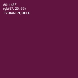 #61143F - Tyrian Purple Color Image