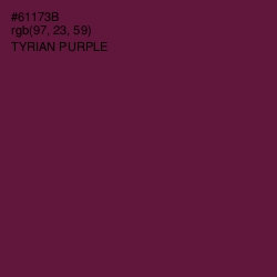 #61173B - Tyrian Purple Color Image