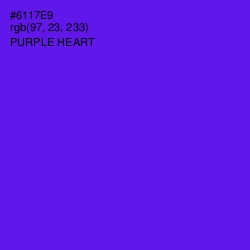 #6117E9 - Purple Heart Color Image