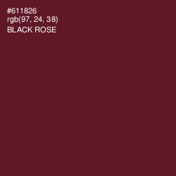 #611826 - Black Rose Color Image
