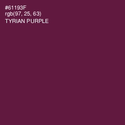 #61193F - Tyrian Purple Color Image