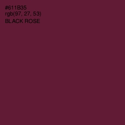 #611B35 - Black Rose Color Image