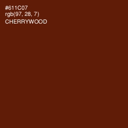 #611C07 - Cherrywood Color Image