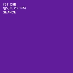 #611C9B - Seance Color Image