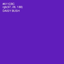 #611CBC - Daisy Bush Color Image