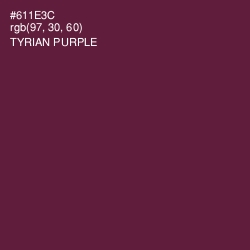 #611E3C - Tyrian Purple Color Image