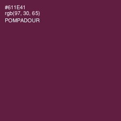 #611E41 - Pompadour Color Image