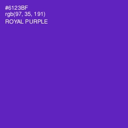 #6123BF - Royal Purple Color Image