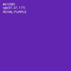#6125B1 - Royal Purple Color Image