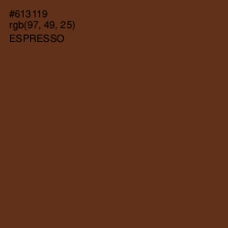 #613119 - Espresso Color Image