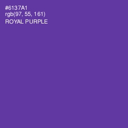 #6137A1 - Royal Purple Color Image