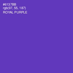 #6137BB - Royal Purple Color Image