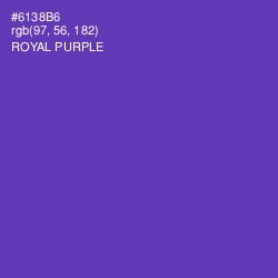 #6138B6 - Royal Purple Color Image