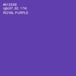 #613EAE - Royal Purple Color Image