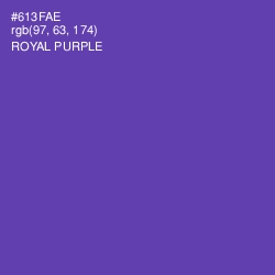 #613FAE - Royal Purple Color Image