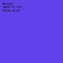 #6143E7 - Royal Blue Color Image