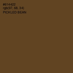 #614422 - Pickled Bean Color Image