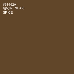 #61462A - Spice Color Image