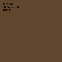 #61472E - Spice Color Image