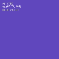 #6147BD - Blue Violet Color Image