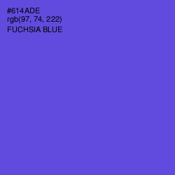 #614ADE - Fuchsia Blue Color Image