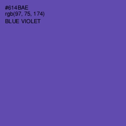 #614BAE - Blue Violet Color Image