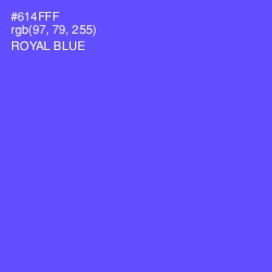 #614FFF - Royal Blue Color Image