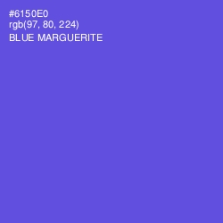 #6150E0 - Blue Marguerite Color Image