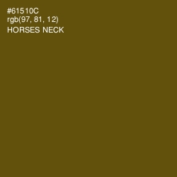 #61510C - Horses Neck Color Image