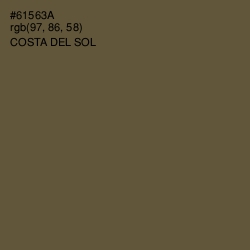 #61563A - Costa Del Sol Color Image