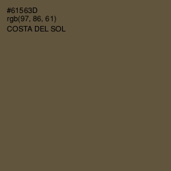 #61563D - Costa Del Sol Color Image