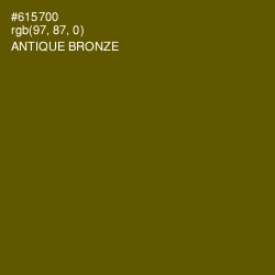 #615700 - Antique Bronze Color Image