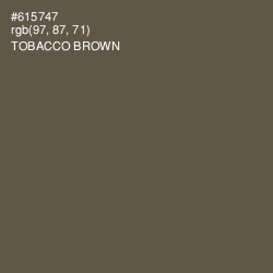 #615747 - Tobacco Brown Color Image