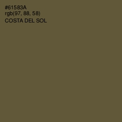 #61583A - Costa Del Sol Color Image