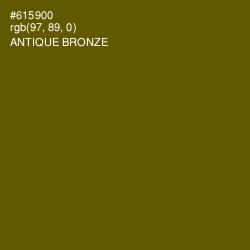 #615900 - Antique Bronze Color Image