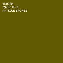 #615904 - Antique Bronze Color Image