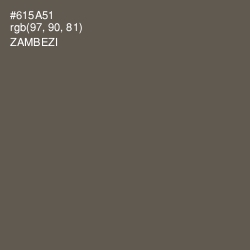 #615A51 - Zambezi Color Image